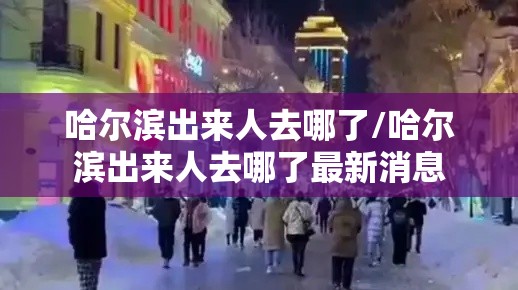 哈尔滨出来人去哪了/哈尔滨出来人去哪了最新消息