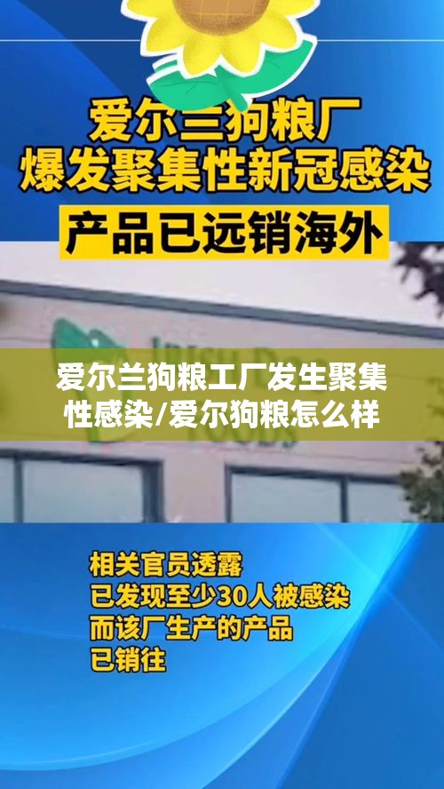 爱尔兰狗粮工厂发生聚集性感染/爱尔狗粮怎么样
