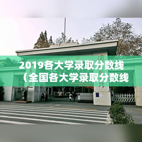 2019各大学录取分数线（全国各大学录取分数线2019）