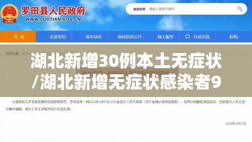 湖北新增30例本土无症状/湖北新增无症状感染者9例,现有确诊病例6例