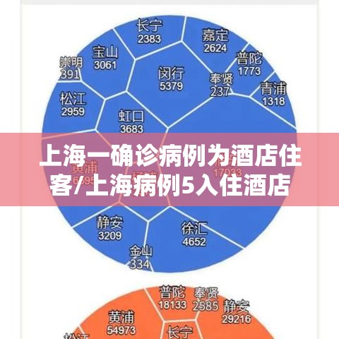 上海一确诊病例为酒店住客/上海病例5入住酒店