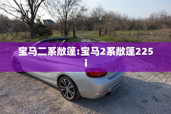 宝马二系敞篷:宝马2系敞篷225i