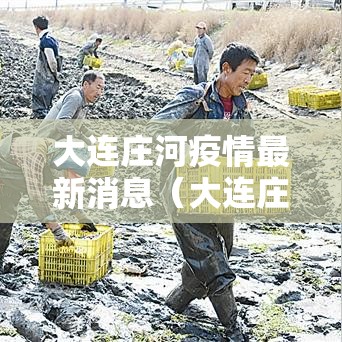 大连庄河疫情最新消息（大连庄河新冠病毒）