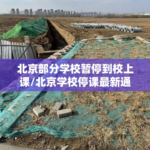 北京部分学校暂停到校上课/北京学校停课最新通知