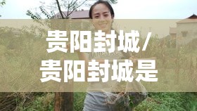 贵阳封城/贵阳封城是哪年