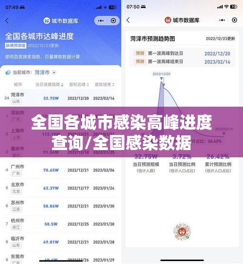 全国各城市感染高峰进度查询/全国感染数据