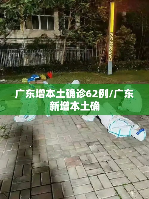 广东增本土确诊62例/广东新增本土确