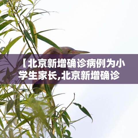 【北京新增确诊病例为小学生家长,北京新增确诊病例为小学生家长感染】