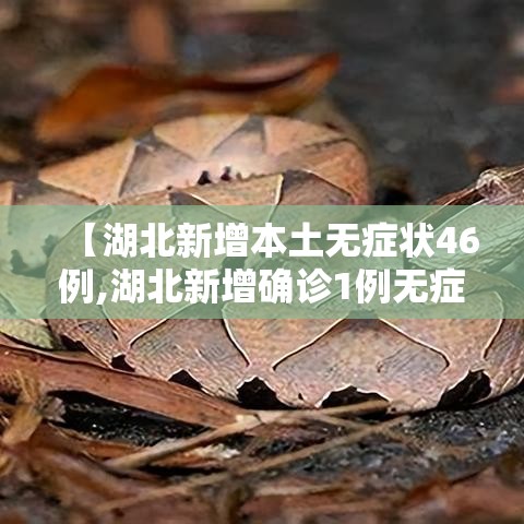 【湖北新增本土无症状46例,湖北新增确诊1例无症状】