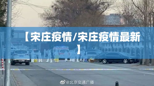 【宋庄疫情/宋庄疫情最新】