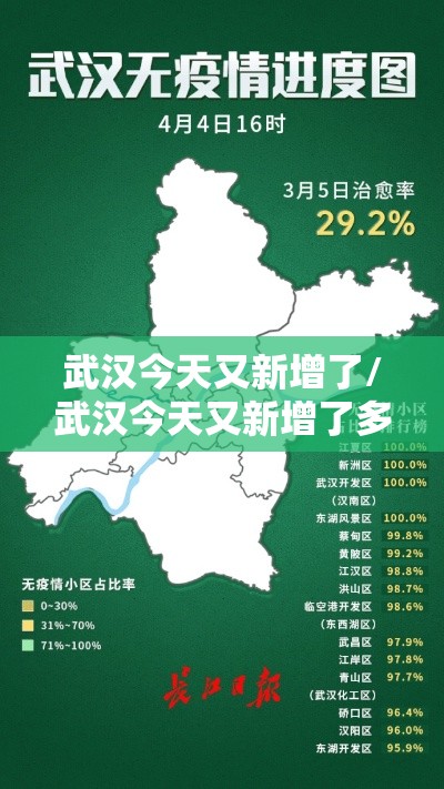 武汉今天又新增了/武汉今天又新增了多少病例