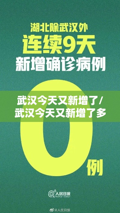 武汉今天又新增了/武汉今天又新增了多少病例