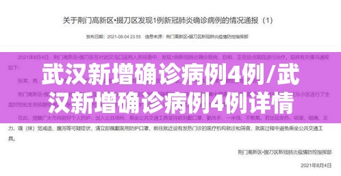 武汉新增确诊病例4例/武汉新增确诊病例4例详情