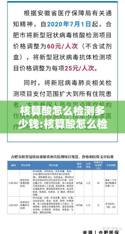 核算酸怎么检测多少钱:核算酸怎么检测的多少钱 核算酸怎么检测多少钱:核算酸怎么检测的多少钱