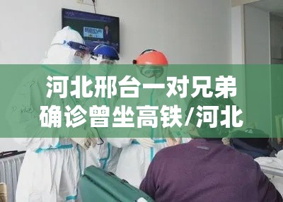 河北邢台一对兄弟确诊曾坐高铁/河北邢台感染者轨迹