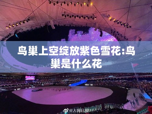鸟巢上空绽放紫色雪花:鸟巢是什么花