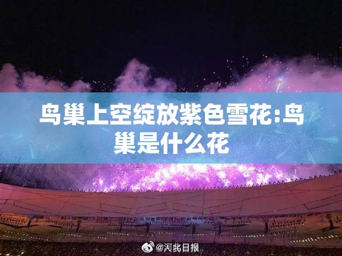 鸟巢上空绽放紫色雪花:鸟巢是什么花