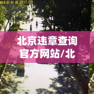 北京违章查询官方网站/北京违章查询系统12123官网