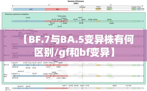 【BF.7与BA.5变异株有何区别/gf和bf变异】