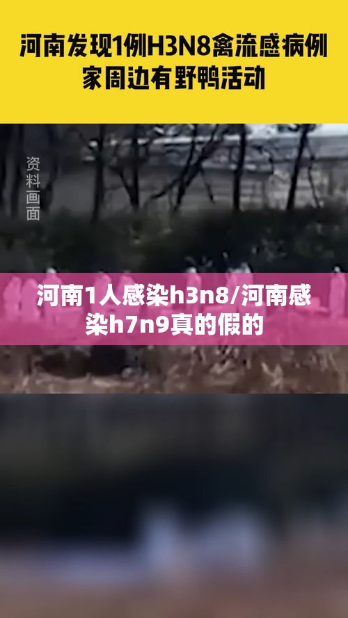 河南1人感染h3n8/河南感染h7n9真的假的