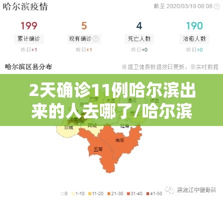 2天确诊11例哈尔滨出来的人去哪了/哈尔滨确诊病例怎么回事