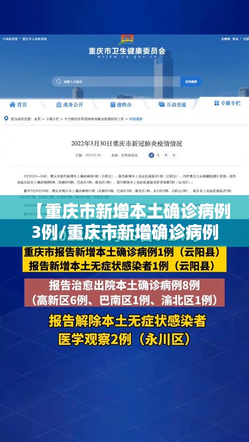 【重庆市新增本土确诊病例3例/重庆市新增确诊病例35例,累计确诊病例110例】