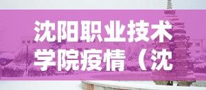 沈阳职业技术学院疫情（沈阳职业技术学院啥时候开学）