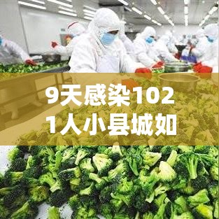 9天感染1021人小县城如何防疫?/9天感染1021人小县城如何防疫措施