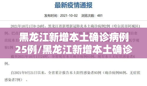 黑龙江新增本土确诊病例25例/黑龙江新增本土确诊病历