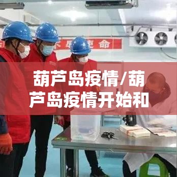 葫芦岛疫情/葫芦岛疫情开始和结束