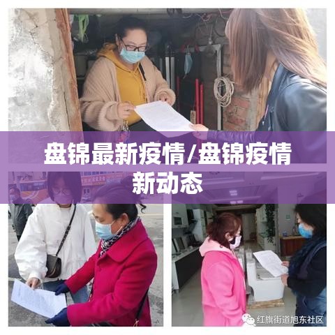 盘锦最新疫情/盘锦疫情新动态