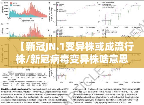 【新冠JN.1变异株或成流行株/新冠病毒变异株啥意思】