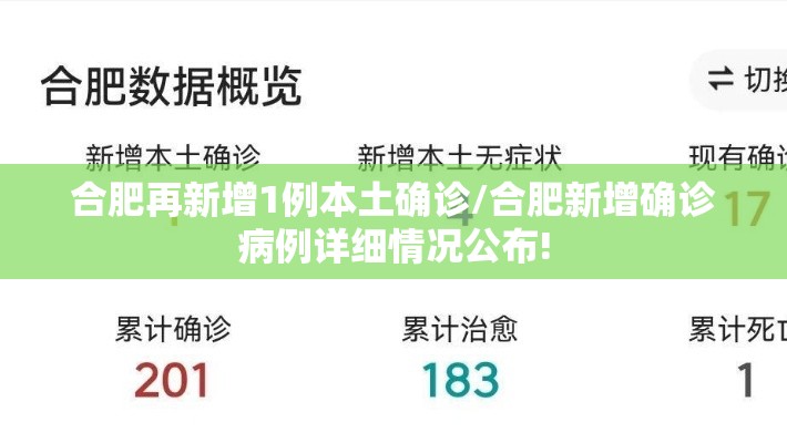 合肥再新增1例本土确诊/合肥新增确诊病例详细情况公布! 合肥再新增1例本土确诊/合肥新增确诊病例详细情况公布!