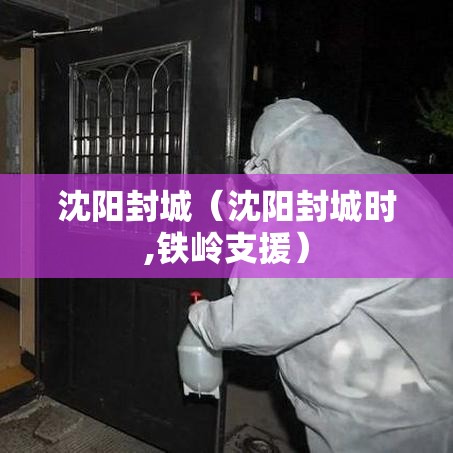沈阳封城（沈阳封城时,铁岭支援）