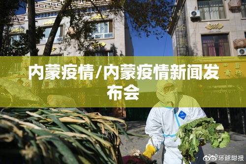 内蒙疫情/内蒙疫情新闻发布会