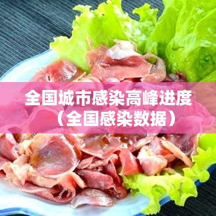 全国城市感染高峰进度（全国感染数据）