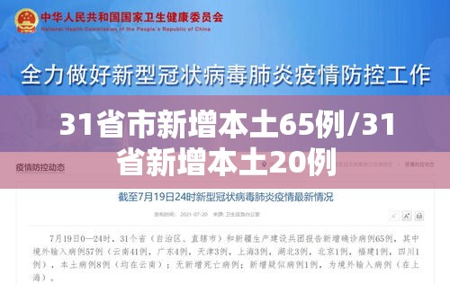 31省市新增本土65例/31省新增本土20例 31省市新增本土65例/31省新增本土20例