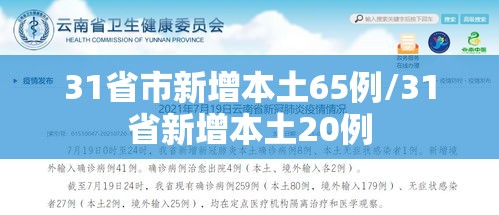31省市新增本土65例/31省新增本土20例 31省市新增本土65例/31省新增本土20例
