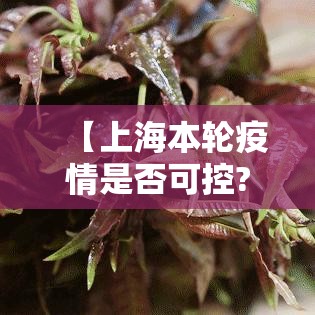 【上海本轮疫情是否可控?专家回应,上海此轮疫情得到控制】