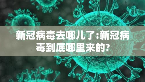 新冠病毒去哪儿了:新冠病毒到底哪里来的?