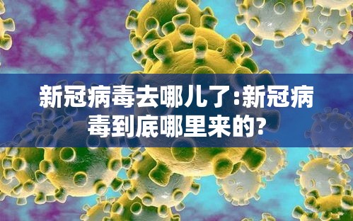新冠病毒去哪儿了:新冠病毒到底哪里来的?