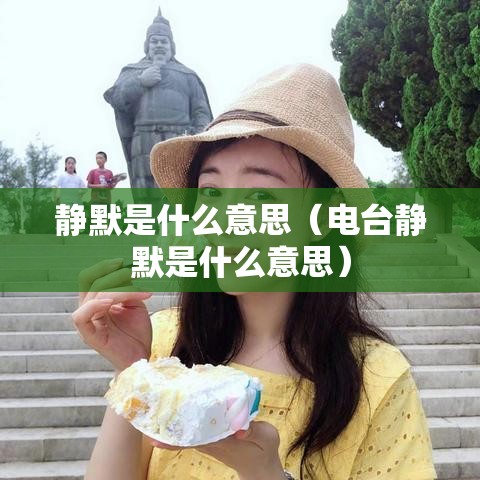 静默是什么意思（电台静默是什么意思）