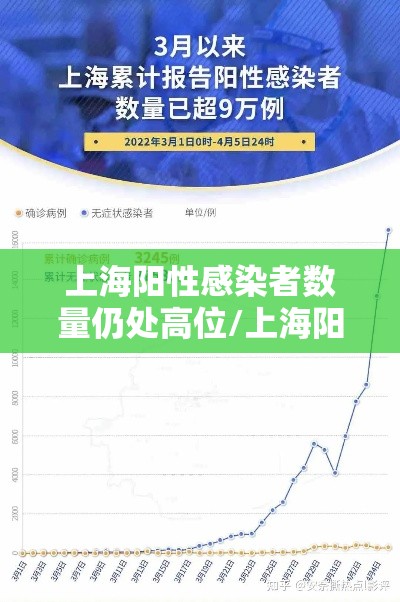 上海阳性感染者数量仍处高位/上海阳性新冠