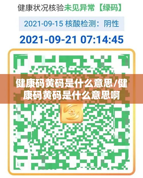 健康码黄码是什么意思/健康码黄码是什么意思啊