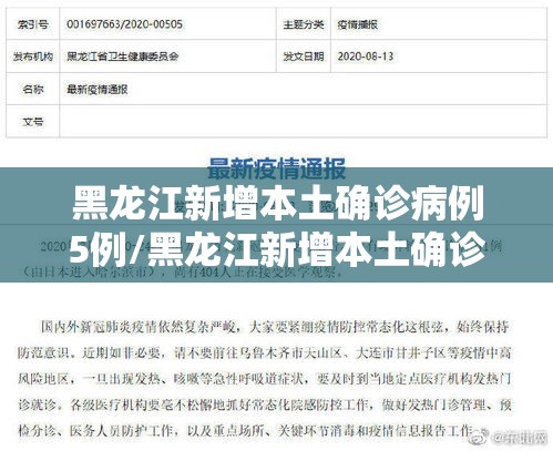 黑龙江新增本土确诊病例5例/黑龙江新增本土确诊病历