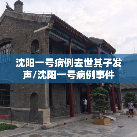 沈阳一号病例去世其子发声/沈阳一号病例事件