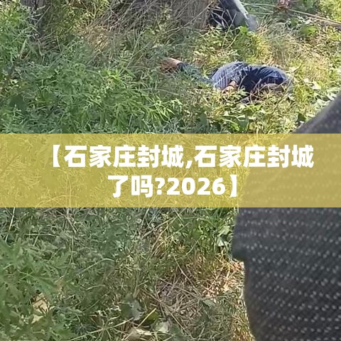 【石家庄封城,石家庄封城了吗?2026】
