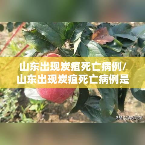 山东出现炭疽死亡病例/山东出现炭疽死亡病例是哪里的