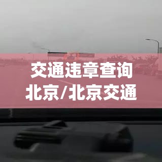 交通违章查询北京/北京交通违章查询app下载