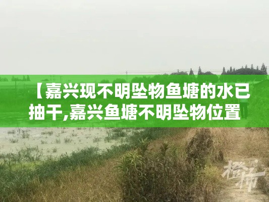 【嘉兴现不明坠物鱼塘的水已抽干,嘉兴鱼塘不明坠物位置】